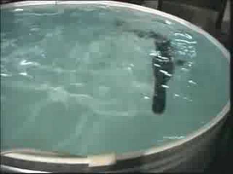 Cleaning Water... Growing Fish Cleaning Water... Growing Fish