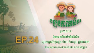 ប្រធានបទ #ស្វែងយល់ពីដំណាំមៀនប៉ៃលិន