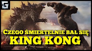 Czego Śmiertelnie Bał Się King Kong? Rywal Godzilli