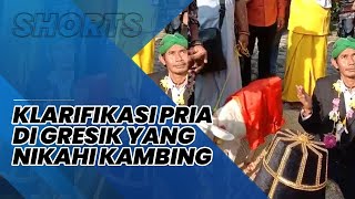 Klarifikasi Pria di Gresik yang Nikahi Kambing, Mengaku Sengaja Buat Video supaya Dapat Like