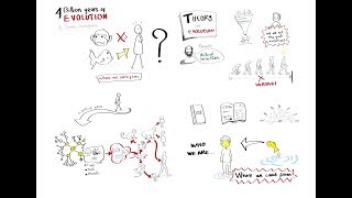 Graphic Report of the Ted talk: Four billion years of evolution in six minutes