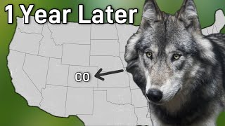 The Reintroduction of Wolves Into Colorado: How Are They Now?