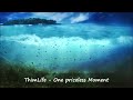 Thimlife - One priceless moment