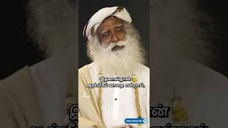 மரணத்திற்குப் பிறகும் எது நம்மை அதிகமாக ஆட்டிப்படைக்கிறது?|What affects us themost even after death?