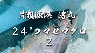 【マグロ２本目】片瀬漁港＠渚丸【２７キロ】