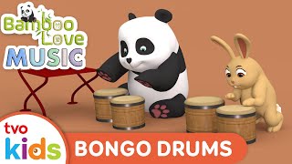 BAMBOO LOVES MUSIC 🐼🎶 Bongo Drums🪘Preschool Music Series On TVOkids!