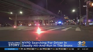 NYPD Searching For Driver In Deadly Bronx Hit-And-Run