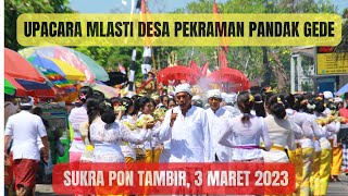 Upacara Mlasti Desa Pekraman Pandak Gede, 3 Maret 2023