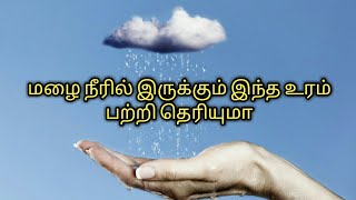 மழை நீரில் இவ்வளவு சத்து இருப்பது தெரியுமா | GARDENING TAMIL