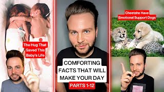 Comforting Facts That Will Make Your Day (Full Series Compilation)