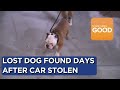 Man reunited with lost dog after car stolen