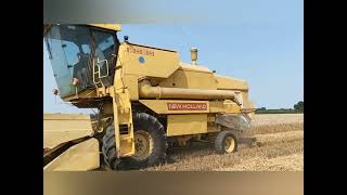 Trebbiatura grano - New Holland Clayson 8060