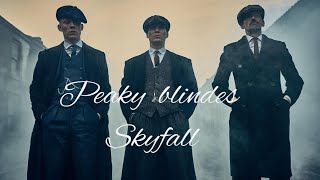 peaky blindes/ skyfall amv