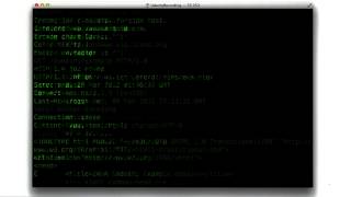 Telnet Request Solution - Web Development