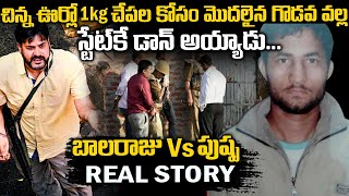 1kg చేపల కోసం మొదలైన గొడవ స్టేట్ కె డాన్ ని చేసింది| Balaraj Bhati pushpa katari story | Teluguwaves