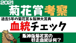 菊花賞2021 考察 過去5年血統チェック【バーチャルサラブレッド・リュウタロウ/競馬Vtuber】