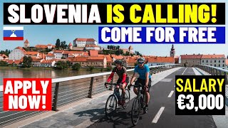 Slovenia Free Visa For Foreigners: Slovenia Job Seeker Visa 2023: Full Visa Process, Work Permit