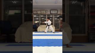 小学4年男子東北チャンピオンの平安五段　#空手 #karate #shotokan #松涛館