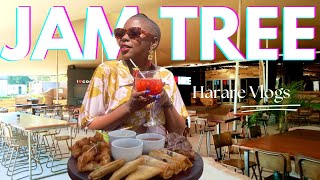 Jam Tree in 2 Minutes | Harare Short Reel | theAfroTraveller