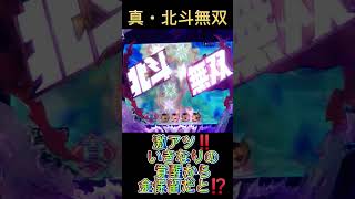 CR真・北斗無双219 激アツ‼️いきなりの覚醒から金保留だと⁉️