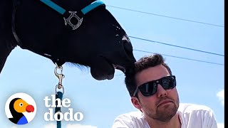 Horse Falls In Love With His Mom's Boyfriend | The Dodo Soulmates