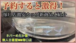 【予約すると激得！】塚口店の激安カップ最新情報をご紹介いたします☆なくなり次第終了となります☆ネバーめだか屋(神戸市北区道場)\u0026無人古着屋MN塚口店(メダカ販売所)