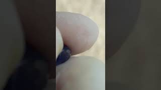 srilanka natural blue sapphire  15ct