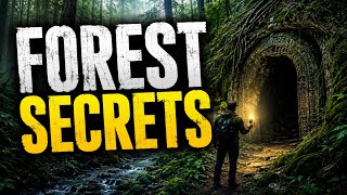 Hidden Secrets Deep Inside American Forests REVEALED in 2026 🌲😱। America Histry। America Forest