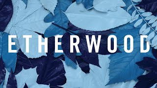 Artist Mix - Etherwood (Liquid Drum and Bass Mix)