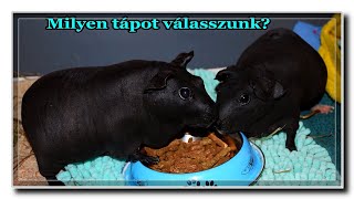 Mit egyen a tengerimalac? 2. rész: TÁP