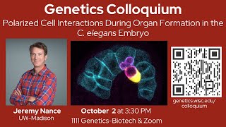 UW-Madison Genetics Colloquium - Jeremy Nance | October 2, 2024