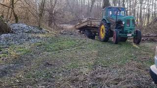 36er Famulus im Holz mit Anhänger RS 14/36