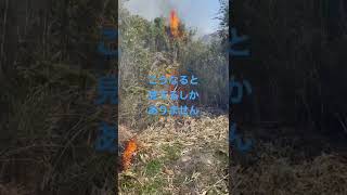 野焼き動画　コメント大炎上