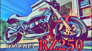 【RZ250】チャンバー　排気音　2スト　旧車  爆音　2st