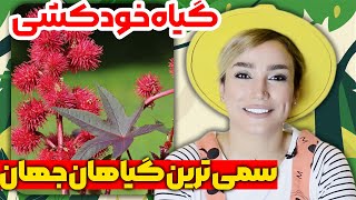 😱سمی ترین و کشنده  ترین گیاهان جهان😳