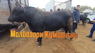 Молбозори Кумсангир