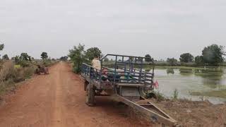 Cambodia Traditional Farming [ Khmer rural post]