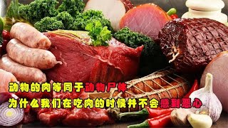 动物的肉等同于动物尸体，为什么我们在吃肉时，并不会感到恶心