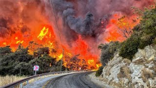 实拍森林火灾爆发过程！火焰迅速蔓延，令人难以置信的自然灾难