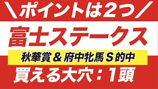 富士ステークス 2020【予想】連覇へ！！今年だからこそ、この盲点には注意せよ！超大穴１頭とは？！