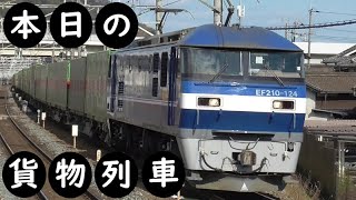 【本日の貨物列車】No.1008　2023,8,10　第59番列車　Today‘s freight train　福山レールエクスプレス！