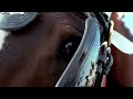 budweiser clydesdales 9 11 tribute ad super bowl 2011