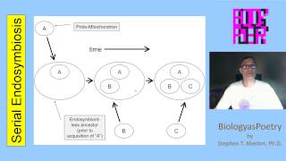 Serial Endosymbiosis