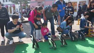 【日本．北海道】登別尼克斯海洋公園