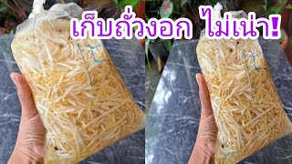 เก็บถั่วงอกสด 1 สัปดาห์ ไม่เน่าเสีย |แค่เลchannel