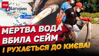 Мертва вода з Росії наближається до Києва! Яку небезпеку приховують заражені річки?