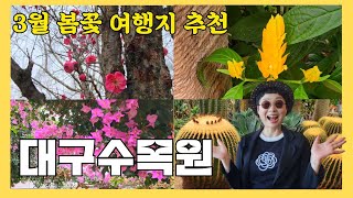 3월 봄꽃 여행지 추천-대구수목원 #대구수목원 #대구여행코스 #대구가볼만한곳