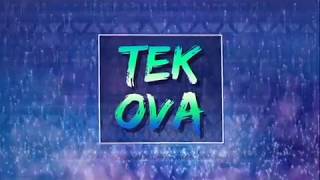 Tek Ova Lyric Video Nicovia {remix}