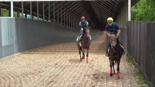 【株式会社エクワインレーシング】アポロキラナ 調教 坂路 2021/7/09撮影【調教動画】