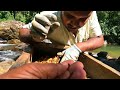 gem mining on river – gemstone discovery gem mining adventure gem mining exploration